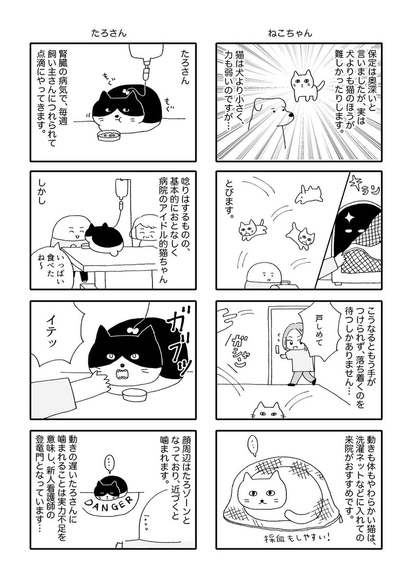 動物と向き合うお仕事
(2/4) 