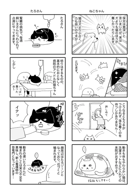 動物と向き合うお仕事
(2/4) 