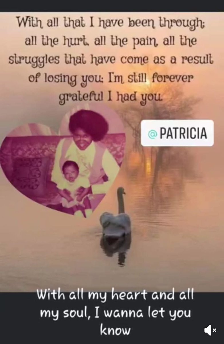 Janet A. C. Wise tweet media