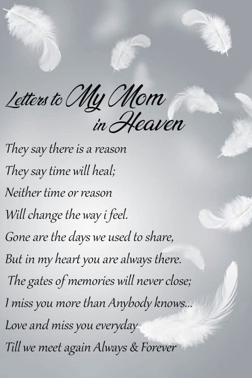 Janet A. C. Wise tweet media