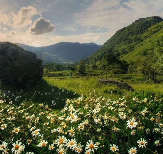 artindetails's tweet photo. a peaceful escape. https://t.co/1HBsgL2F5F