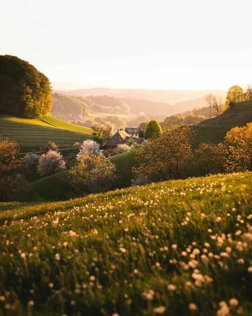 artindetails's tweet photo. a peaceful escape. https://t.co/1HBsgL2F5F