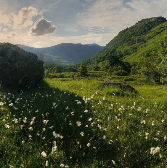 artindetails's tweet photo. a peaceful escape. https://t.co/1HBsgL2F5F