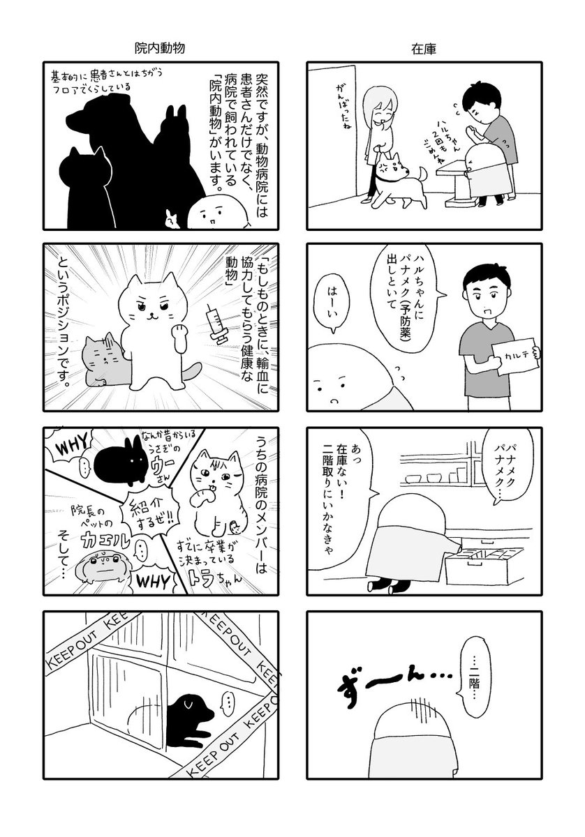 動物と向き合うお仕事
(3/4) 