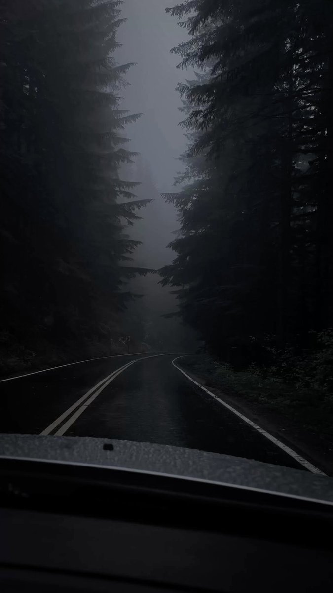 artindetails's tweet image. grey skies, calm vibes.