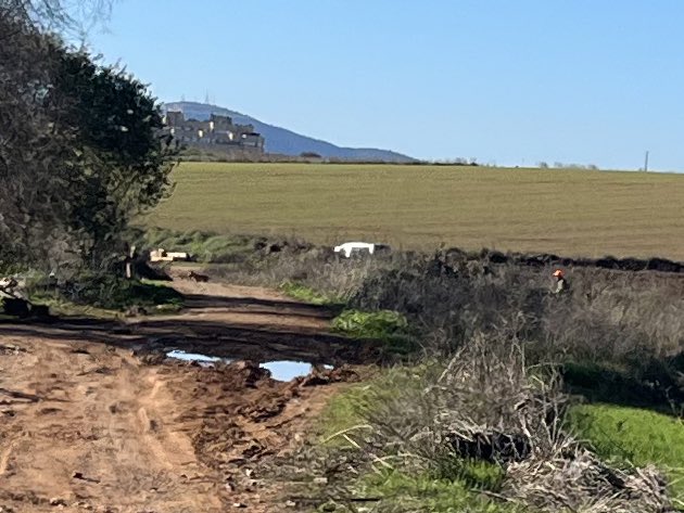 Valla por delante que no voy a criticar la actividad cinegética. Pero que en poco más de 3km les tenga que llamar la atención a cazadores que a pie de caminos públicos, andas pegando tiros es demencial. El que veis, pegó un tiro desde donde estaba, atravesando el camino.
