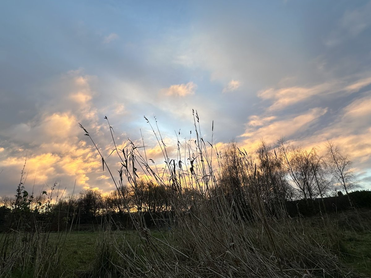InsightUpNorth's tweet photo. Coping with grief through nature connection: https://t.co/OocjZTri0z

#sunrise this #SundayMorning in @ryebankfields Chorlton, Manchester. 
#365dayswild #wellbeing #nature ##outdoors #mindfulness #naturephotography #selfcare #mentalhealth #health #dailydoseofnature https://t.co/4WJXNwg1du