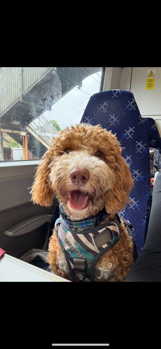 Pamela Murdoch tweet media