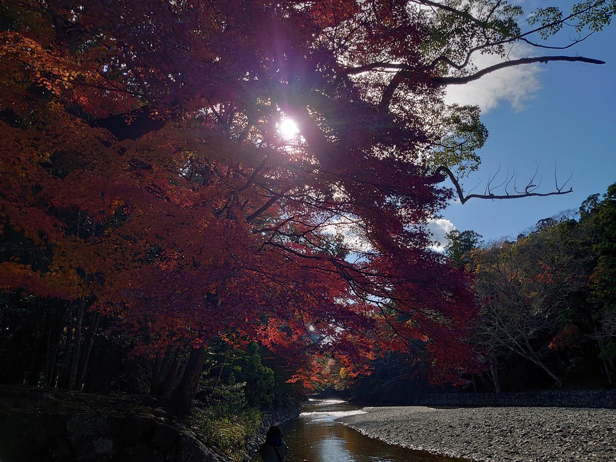 bari1173's tweet photo. 日本一の神聖な場所。日々感謝し毎年行けるようにしよう。
#伊勢神宮内宮　
#伊勢神宮外宮
#二見興玉神社　　
#最強パワースポット 　
#お伊勢参り https://t.co/p7rEi4O8i0