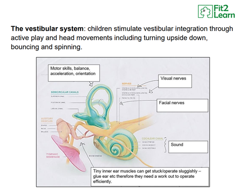 CharlotteEDavie's tweet photo. @naomicfisher In sound therapy it is possible to see children closing down their skills. This is a reflex response to survive hostile environments & impacts on global cognitive skills. Health professionals need to wake up to the importance of sound #Tomatis @NHSMillion @CAMHSNetwork https://t.co/jPK0PXG5zy