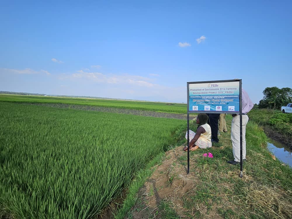 NARO_BUGIZARDI tweet media