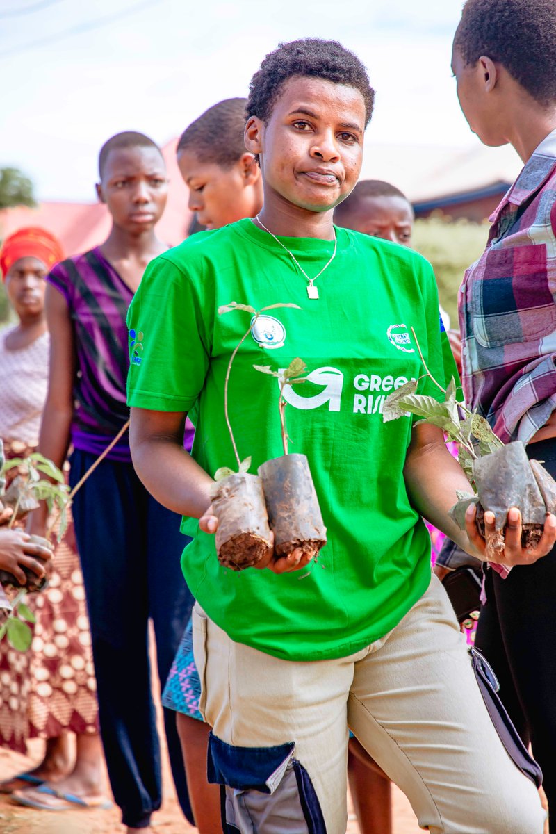 WGYB_NGO's tweet photo. In #GreenRisingProgram, young people from @GisagaraDistr, guided by #GreenRisingAmbassadors, are taking action as environmental ambassadors to combat climate change and help their community. From planting trees to delivering climate education, they’re at the forefront of efforts to fight soil erosion, promote sustainability, and build resilience against future climate crises. Together, we are empowering the #Gisagara community and beyond to become environmental stewards.
#GreenRising
#ClimateAction
#GreenFuture
@RwandaYouthArts @GenUnlimited_ @unicefrw