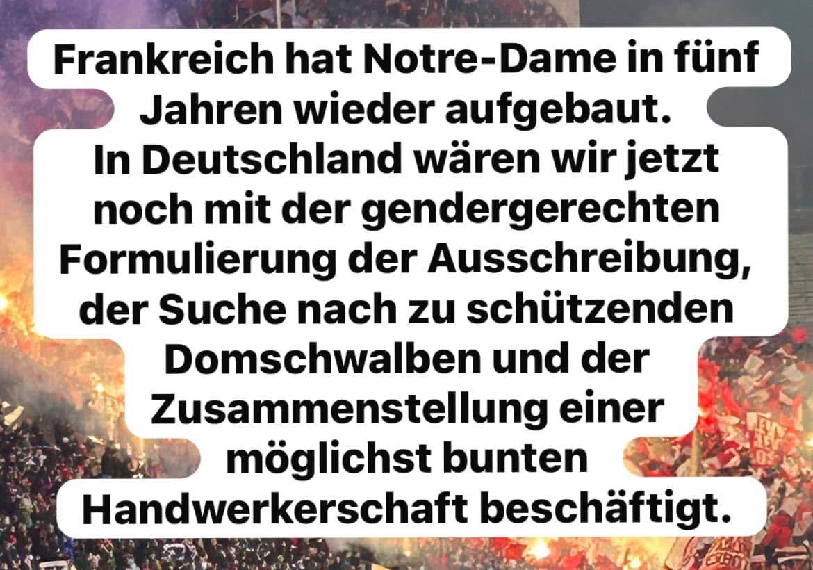 Dr. Dr. Rainer Zitelmann (@rzitelmann) on Twitter photo 