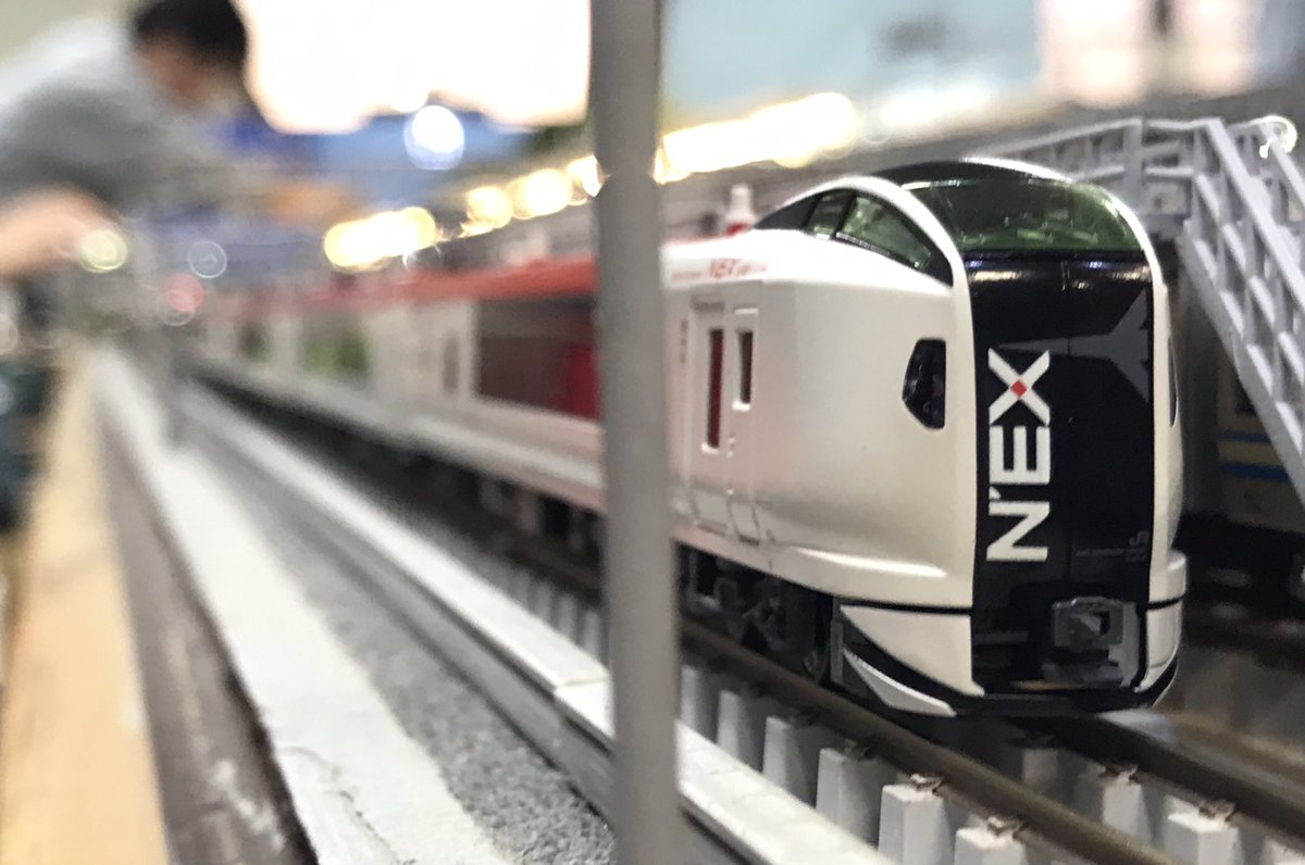 Re_Color_train's tweet photo. 【東京・本店4階】本日ご来店のお客様⑥

E217系横須賀線とE259系成田エクスプレスです！

#リカラー #Re_Color #レンタルレイアウト  #鉄道模型 #Nゲージ #鉄道ジオラマ #diorama https://t.co/q5GyMrVdqX