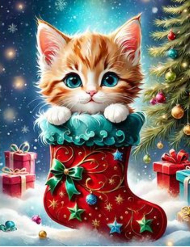 Debbie J. 🌜☘️🌛 tweet media