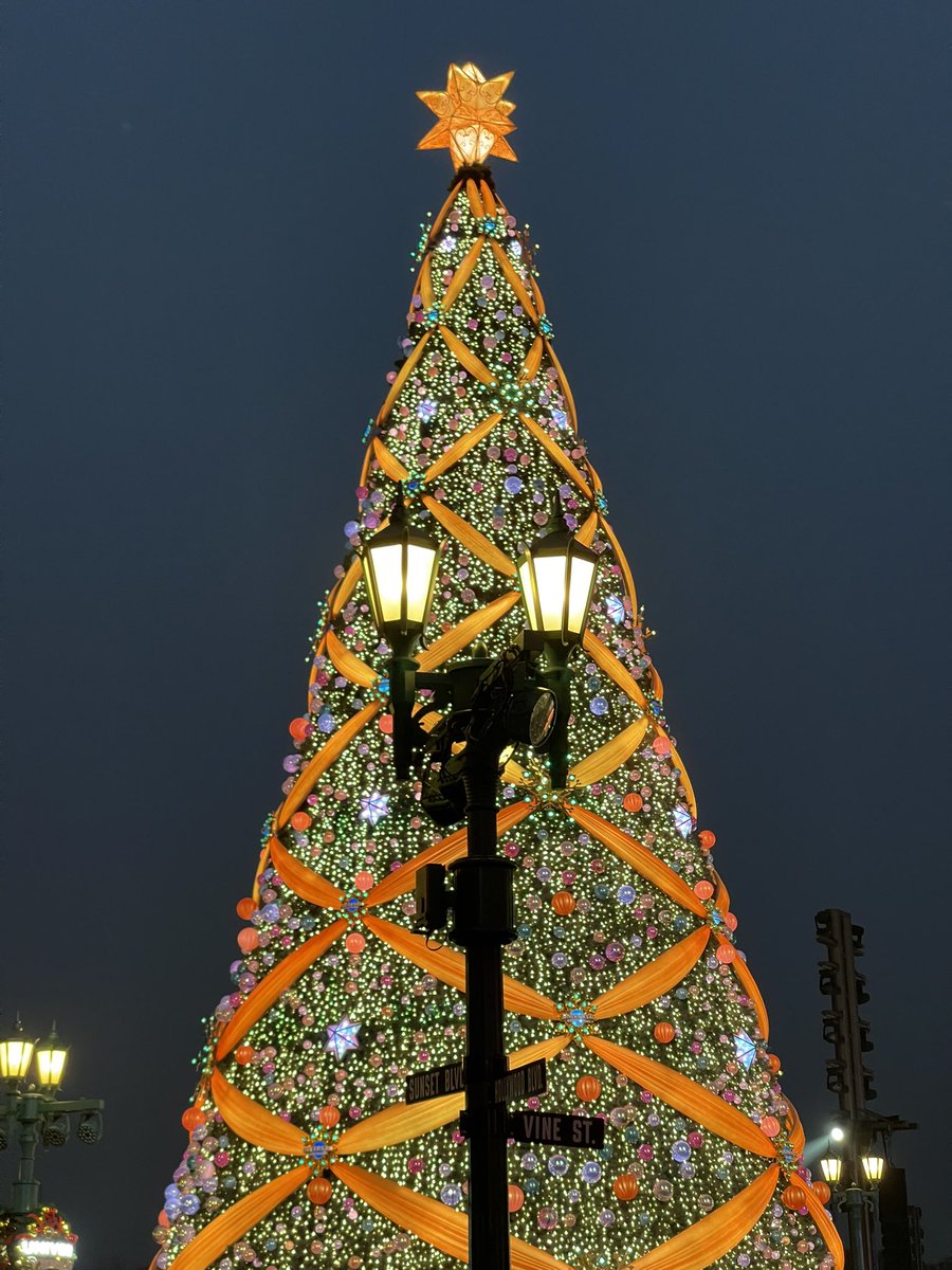 阿年菌 (@iambicdf) on Twitter photo 