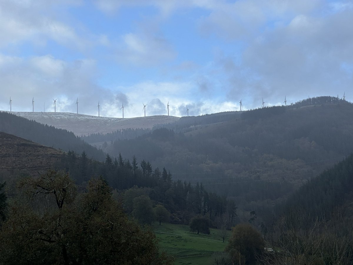 Uxune Martinez tweet media