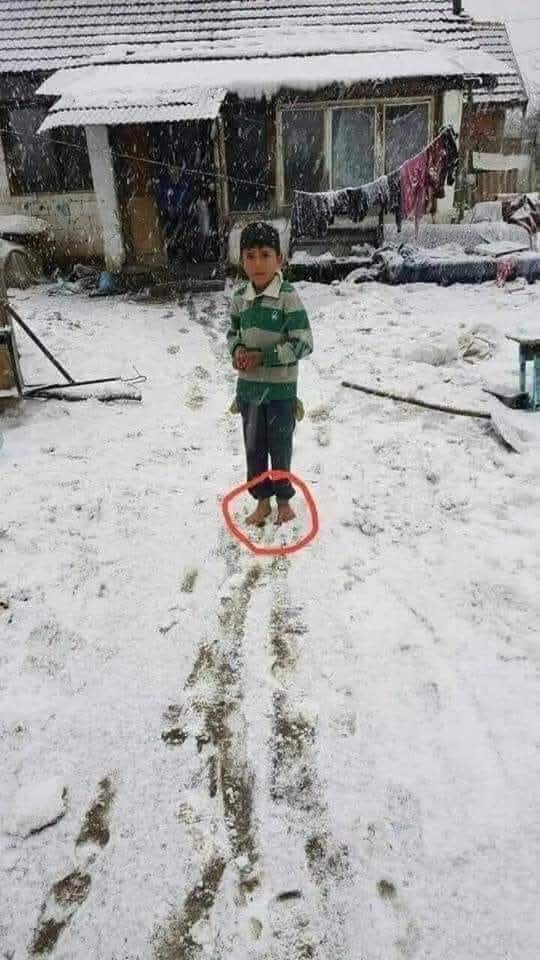 CuoreIschitano's tweet photo. Quando ci lamentiamo perché abbiamo pochi soldi per i regali di Natale..���

L'umanità ha fallito... https://t.co/GBEiukBgnx