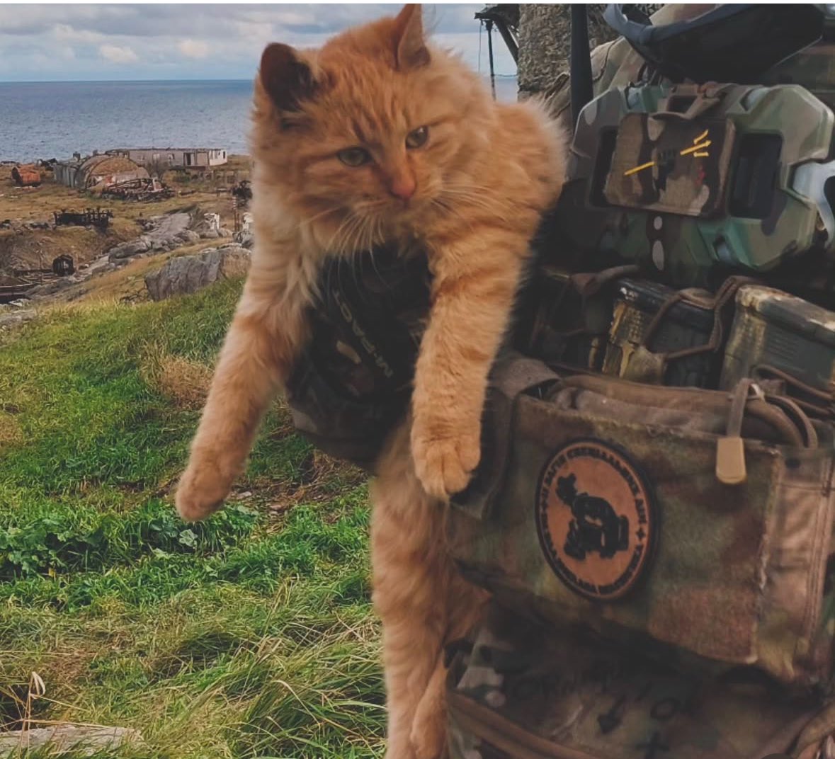 Please donate to 

P.P. Team@thevictoryteam.org or at our website thevictoryteam.org 

Let’s keep these Black Sea Warriors warm! 

Or <a href="/CanadianKobzar/">Кобзар 🇨🇦🇺🇦</a> is creating an OF.