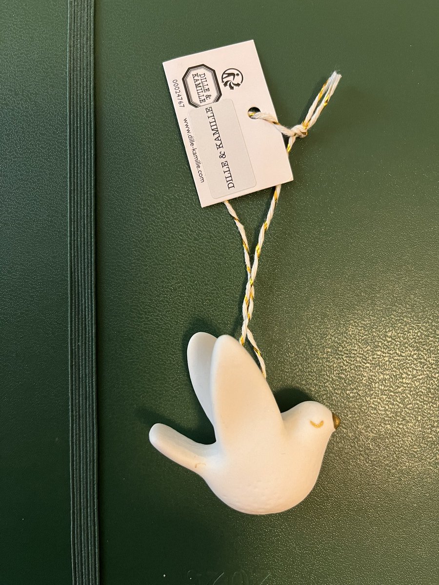 ivvuuren's tweet image. Dat je je fiets pakt om 50 duifjes voor je team op te halen … 

#workinprogress #teamchallenge