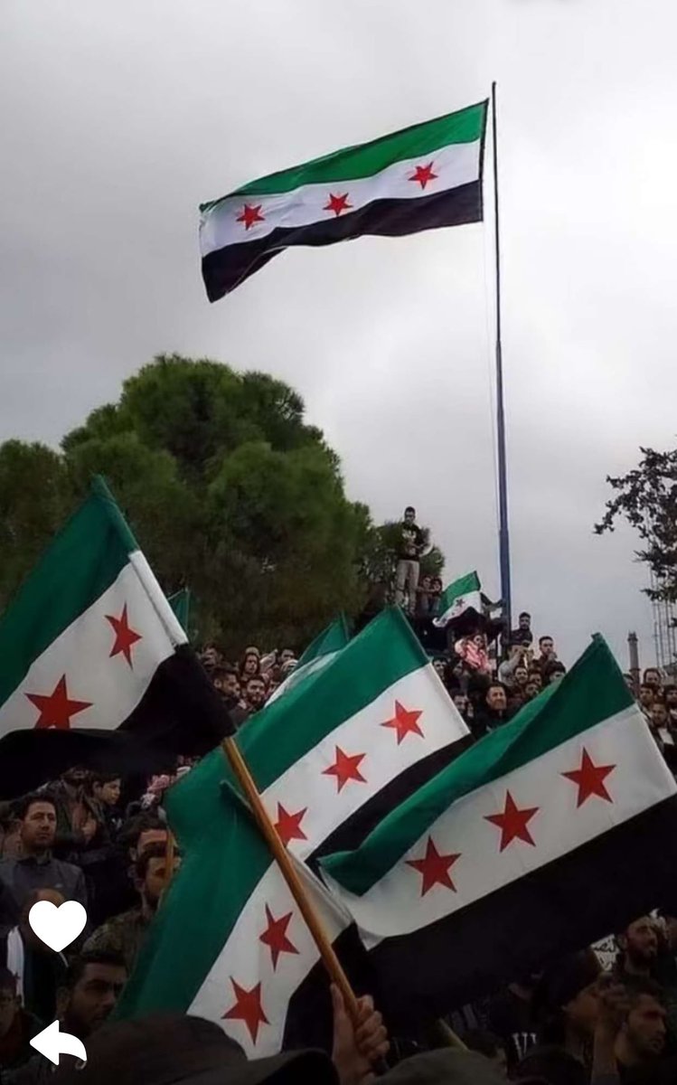 alrweeshid_a's tweet photo. اللهم ادم فرحتهم وأجمع شملهم وجميع بلدان المسلمين يارب العالمين 🌿🤍🤍 https://t.co/shaJeWPxsE