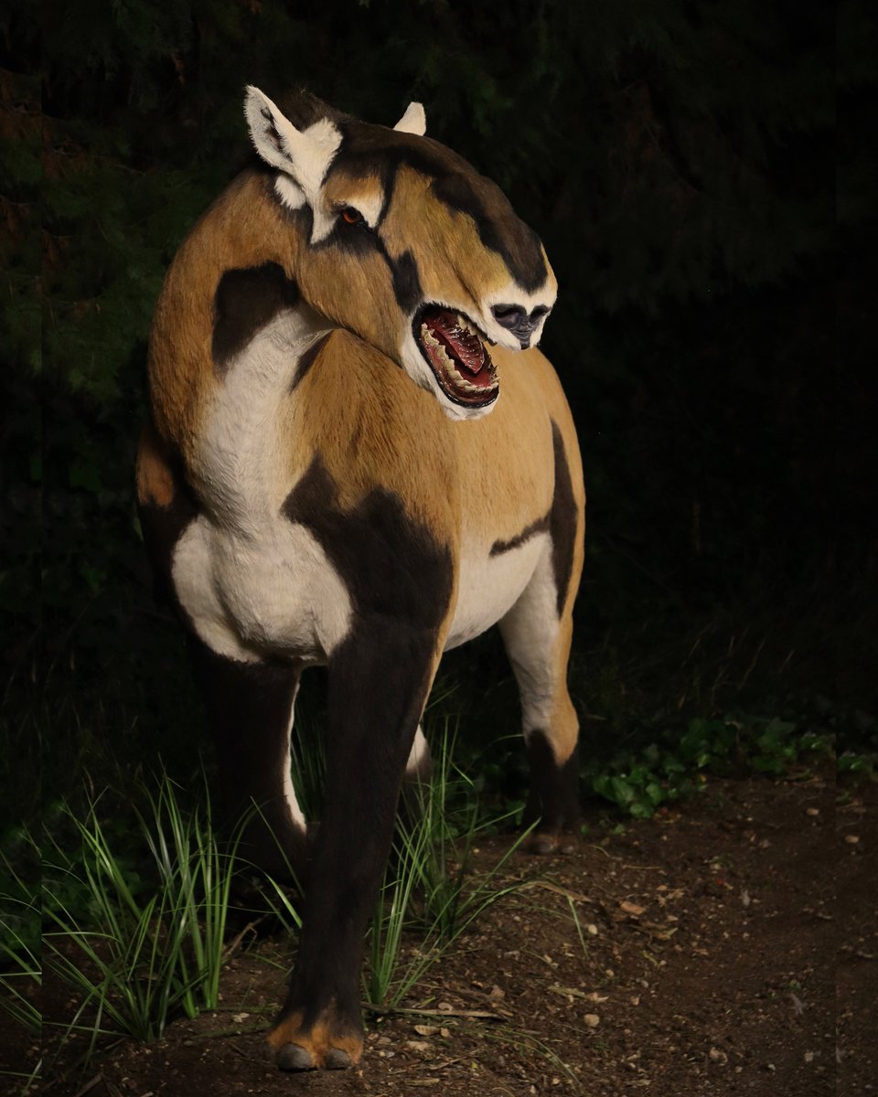 Macrauchenia patachonica.
Reconstrucción sintética de un individuo joven.
#paleoart #paleontology #paleoartist #paleoarte #paleoartists #macrauchenia #pleistocene #pleistocenemegafauna #pleistoceno #litopterna #macraucheniapatachonica