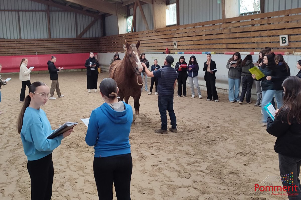 LyceePommerit's tweet photo. Deux élèves @LyceePommerit qualifiées pour le @Salondelagri pour le concours de jugement de chevaux 🐴👏 ➡️ https://t.co/toj0luUaDa 🐴 @CneapEc #pommerit #lyceepommerit #cheval #cneap #bretagne #laventureduvivant https://t.co/Gyr245Gcf2