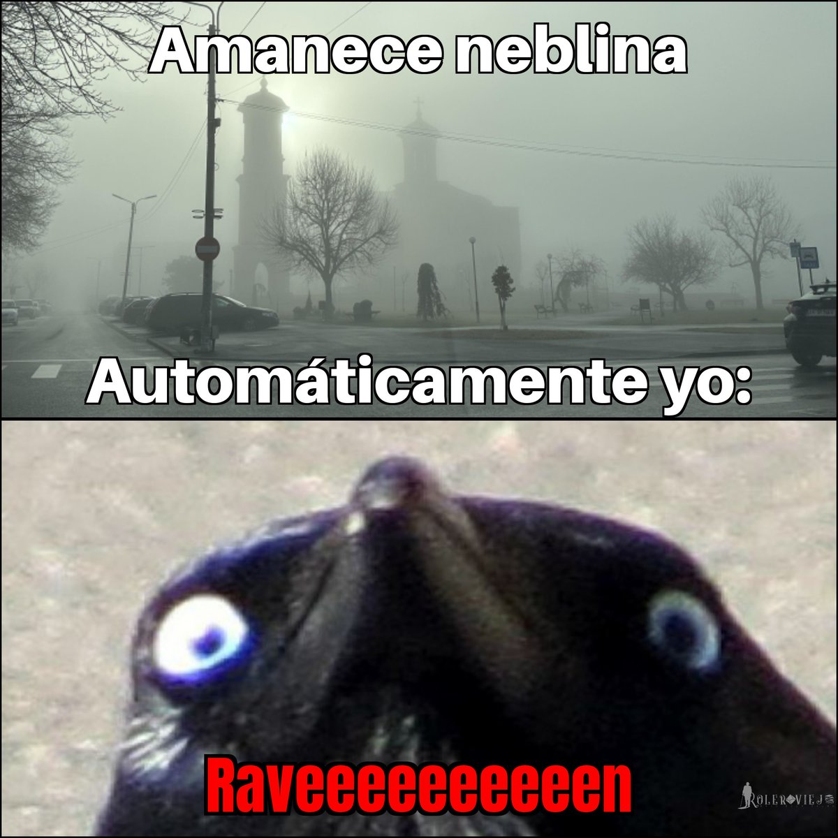 RoleroViejo's tweet photo. Amanece neblina y, claro, esto es así.

#memeRolero #juegosderol #ravenrpg https://t.co/b3kBf7K54w