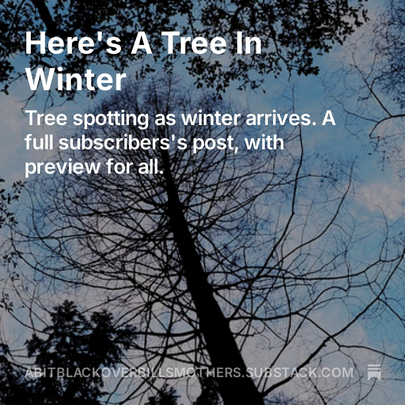 It's Looking A Bit Black Over Bill's Mother's tweet media