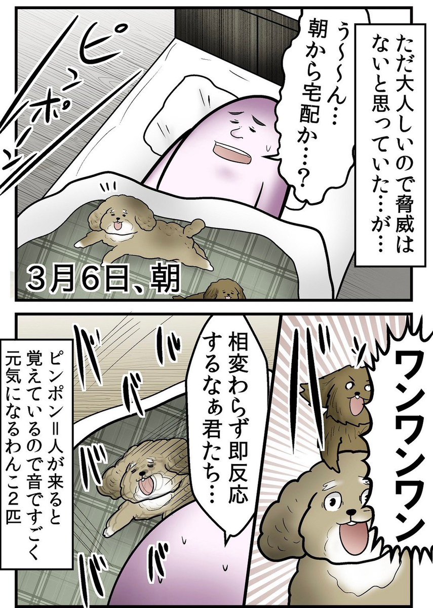 7キロの犬に金玉を踏まれて病院送りになった話 1/5 