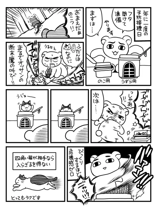 今日は猫どもの予防接種に行ってまいりましたので年に1回あげる猫漫画を
体重測ったらのこっさんは前回と変わらず4kgでしたがうずらは7.9kg→7.2kgになってました〜やった!痩せてる!
でも重いもんは重い 