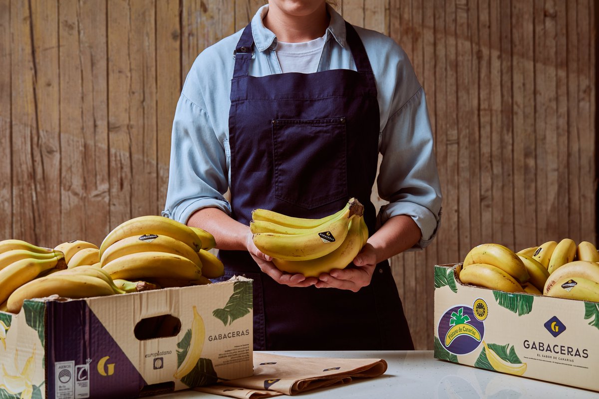 El viaje de nuestros #PlátanosGabaceras comienza en el campo. Sabemos que van hacia manos expertas: las de los #fruteros, quienes garantizan que lleguen a tu hogar con la misma frescura y calidad que ponemos en cada paso. Encuéntralos en las mejores #fruterías locales 🍌🍌