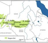 MohanadElbalal's tweet photo. Assad’s support base in Syria was largely limited to his Alawite (Shia) community that makes up 13% of the Syrian population. Hemedti’s support base is largely limited to his ethnic Baggara Nomads that make up 12% of Sudan’s population. Russia, Iran, Hezbollah together couldn’t prevent the defeat of Assad’s Army; in turn the  UAE and its mercenaries will not be able to stop the defeat of Hemedti’s RSF militia. 
#Sudan