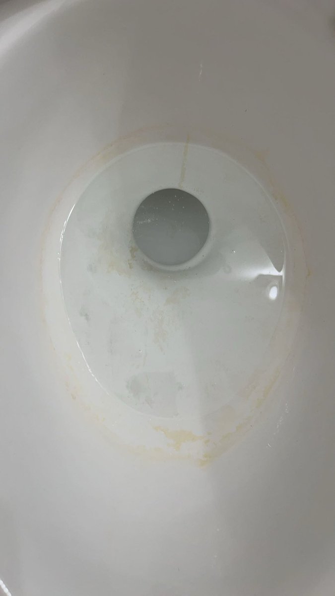 moppycleans's tweet image. mooppy is feeling it 

doesn’t matteer 

we roll regardless #cleanitup