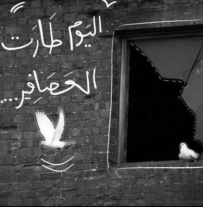 _Hala_99's tweet photo. - 8 ديسمبر 2024 https://t.co/CEXJMRPoyN
