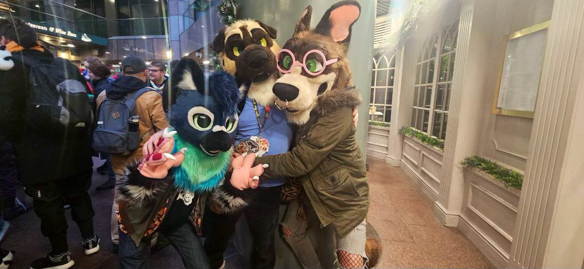 catching stray dogs at LFM