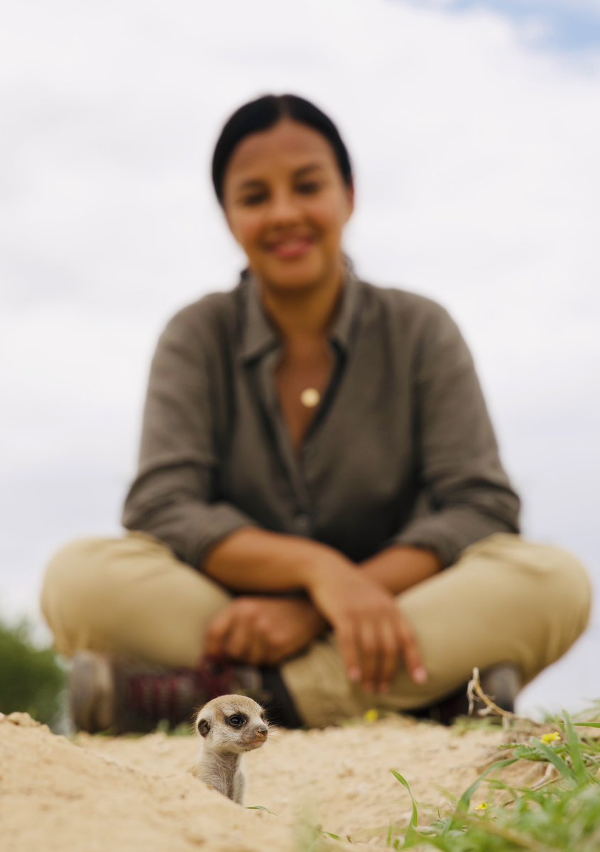 Tonight at 6pm. 
#AnimalGenius airs on <a href="/NatGeoUK/">National Geographic UK</a>. 
🌎💛