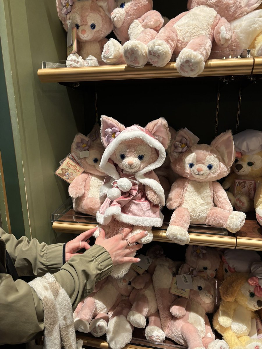 我が家のリーナベル
リーちゃんがディズニーシーで陳列棚に並ぶ妹たちと再会を果たした♡