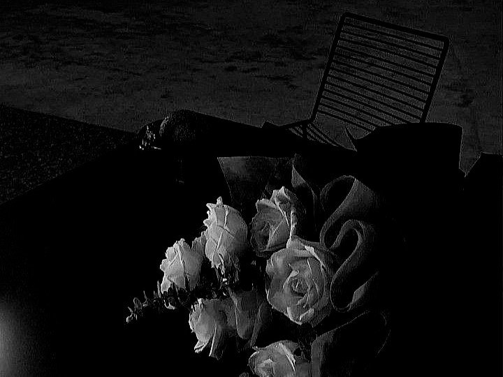 ecliqize's tweet image. 