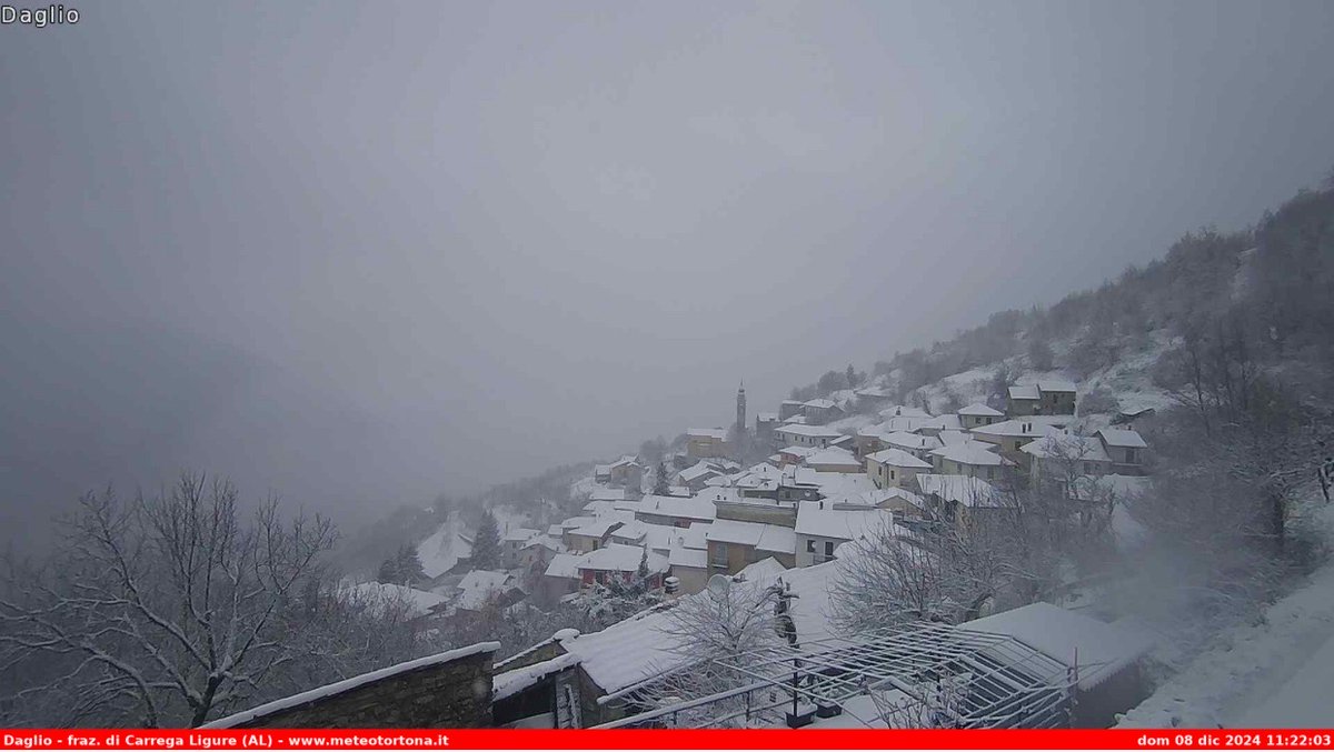 PCProvAL's tweet photo. ❄️8 Dicembre 2024 #neve in appennino. 
Le webcam questa mattina ci mostrano le nostre località montane innevate. Durante la notte la neve è scesa anche nel #tortonese #Novese #Acquese #Ovadese e ha imbiancato con qualche fiocco anche la pianura Alessandrina https://t.co/biUKpUJmom