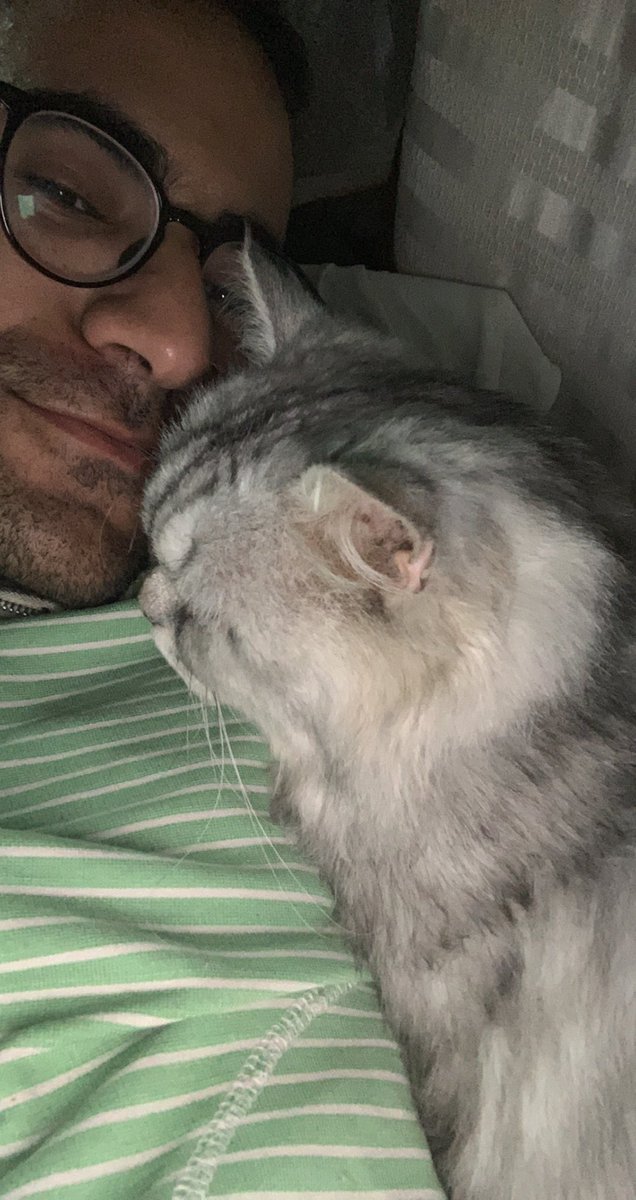 maanbun's tweet photo. My beloved Cato has passed away. He was more than just a pet to me. He felt like a brother, having been by my side for 18 wonderful years. I truly feel fortunate to have had him in my life. Rest in peace, dear Niketa ❤️ https://t.co/lY1OcNWyRJ