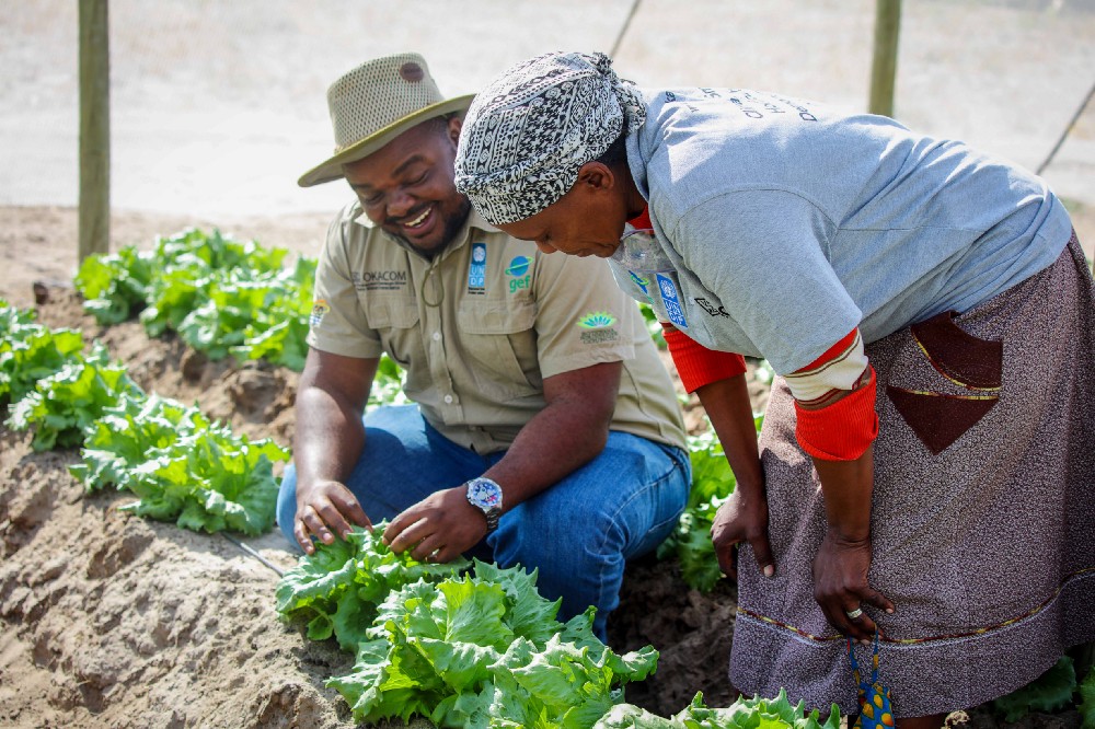 What's the Role of Organizations in promoting Sustainability?