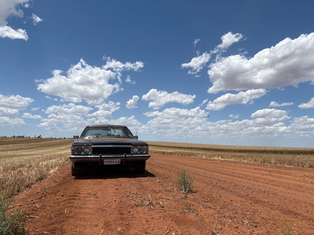 Scott Bowman tweet media