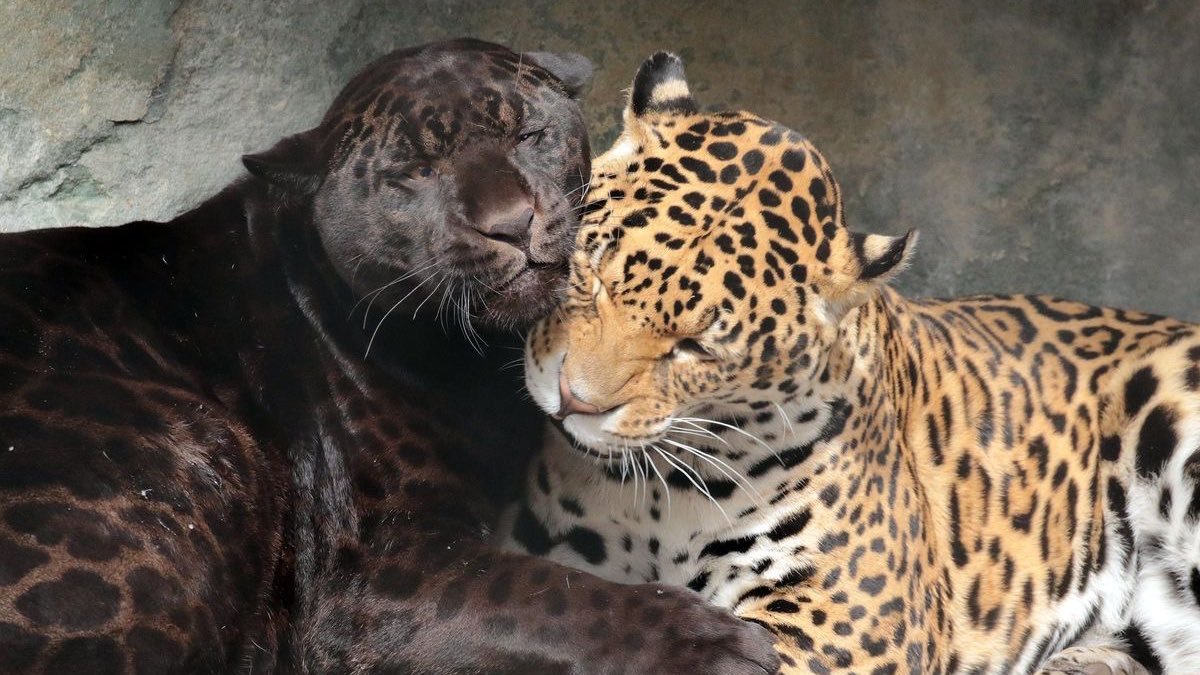 httpsosweet's tweet image. waking up next to you is my favourite part