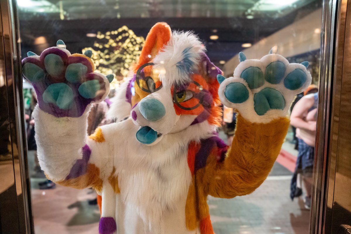 SherbertPup's tweet photo. Random MFF sherbert cuteness~ https://t.co/TwNm6q3axS