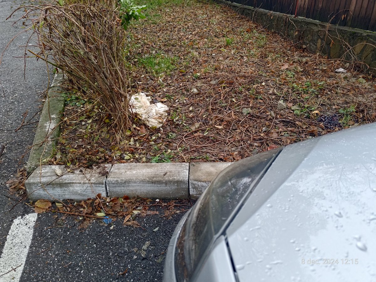 avatarix3d's tweet photo. A mai spart o data masina, de data aceasta a turnat apa pe covorasele fata si spate, dreapta, ca sa nu imi dau seama,pentru ca a si plouat de altfel. A lasat si doua verze murate in fata masinii, probabil sa vad "eu ca sunt varza" https://t.co/AQerP9PnGt