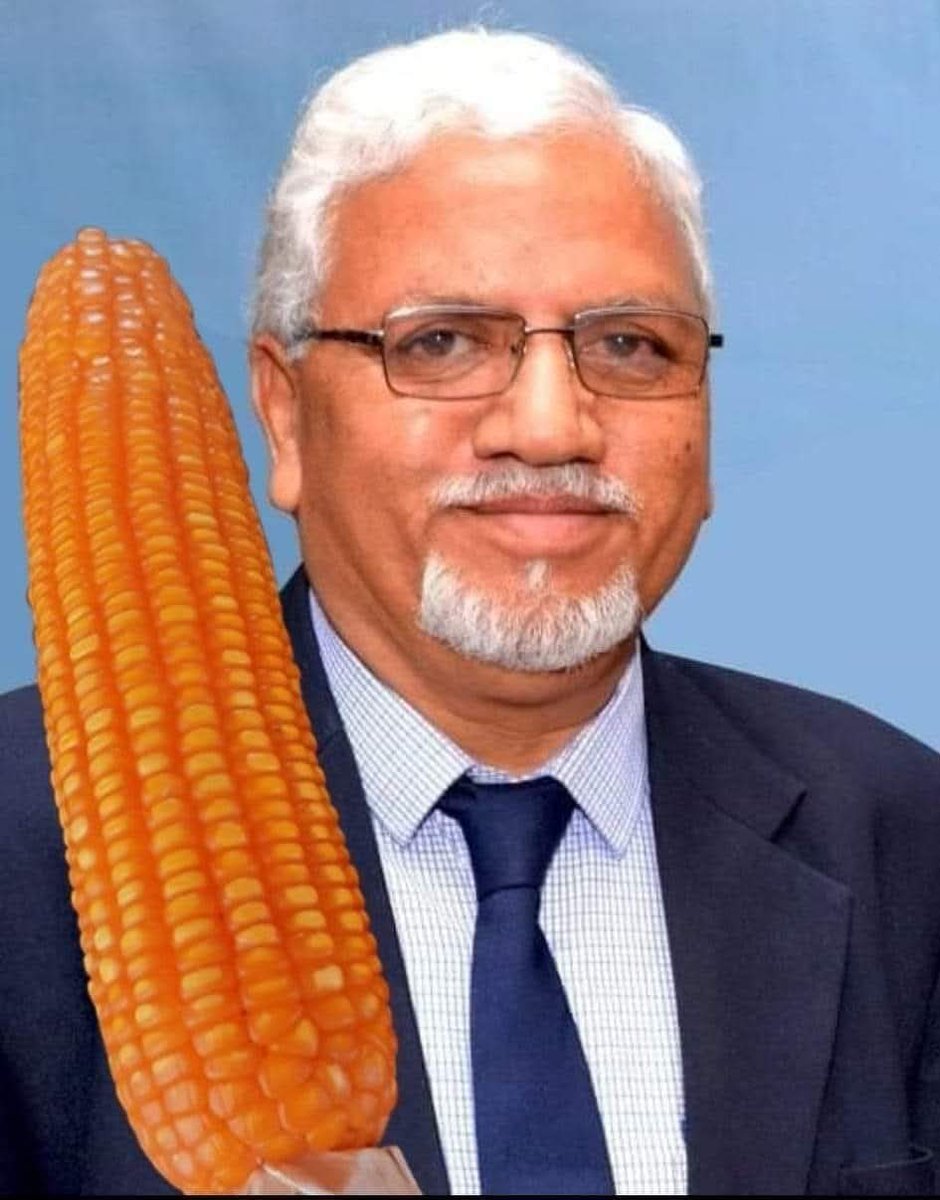 BDJade1's tweet image. यदी आसमान को छुना हो तो बाज (गरूड /Eagle) जैसी उडान लेनी होगी | मक्का का यदी अधिक उपज, प्रति एकड १०० कुंतल उपज लेना चाहते हो तो मक्केकी पारंपारीक खेती पद्धती छोडकर नया तकनीक को अपनाने की जरूरत है | जैन इरीगेशन किसानोंको मक्का का अधिक उपज प्राप्ती के लिए मदद करता है |
#AjitJisl