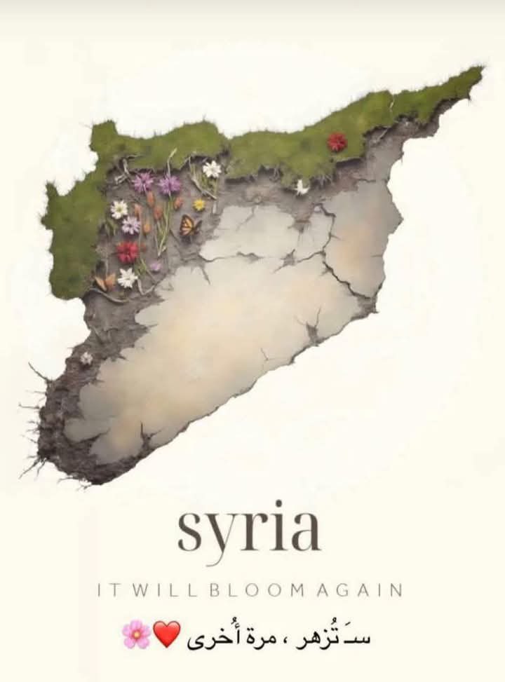 اخضِرار 🍃 (@picgreen) on Twitter photo 