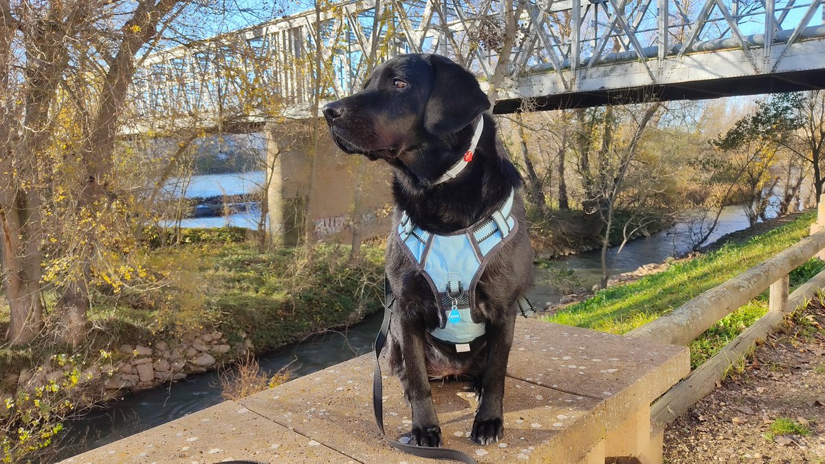 Flcorral 🎓🍏 tweet media