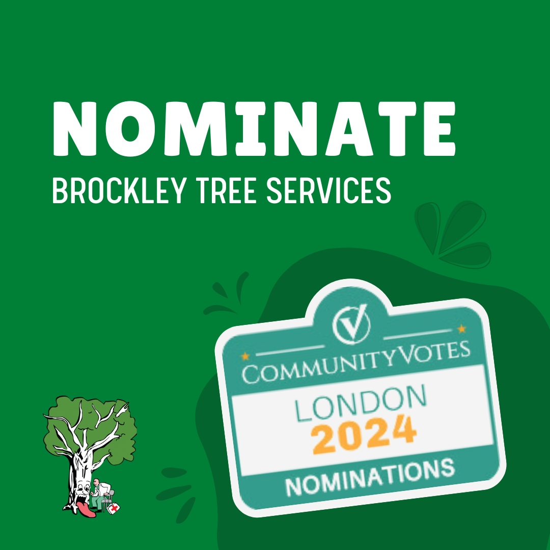 BrockleyTree's tweet photo. Community Votes time is here again! 😊 We would really appreciate your nominations for London's favourite tree service.❤️

Click the link below to nominate! 👇
https://t.co/wnRXEwtot3 https://t.co/O9RZny3iwI